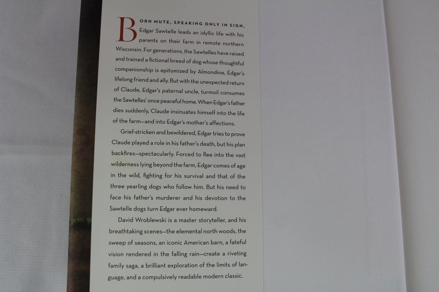 The Story of Edgar Sawtelle: A Novel by David Wroblewski