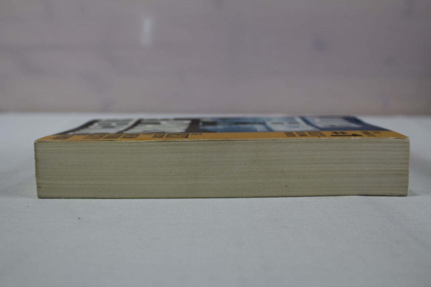 The Paris Detective by James Patterson, Richard DiLallo
