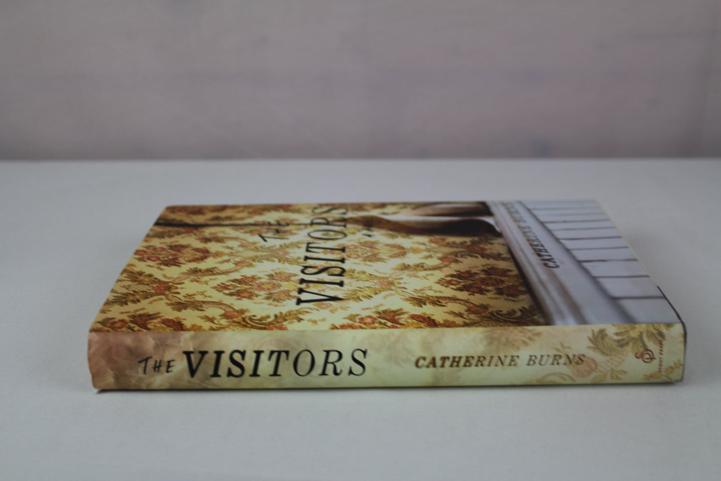 The Visitors by Catherine Burns