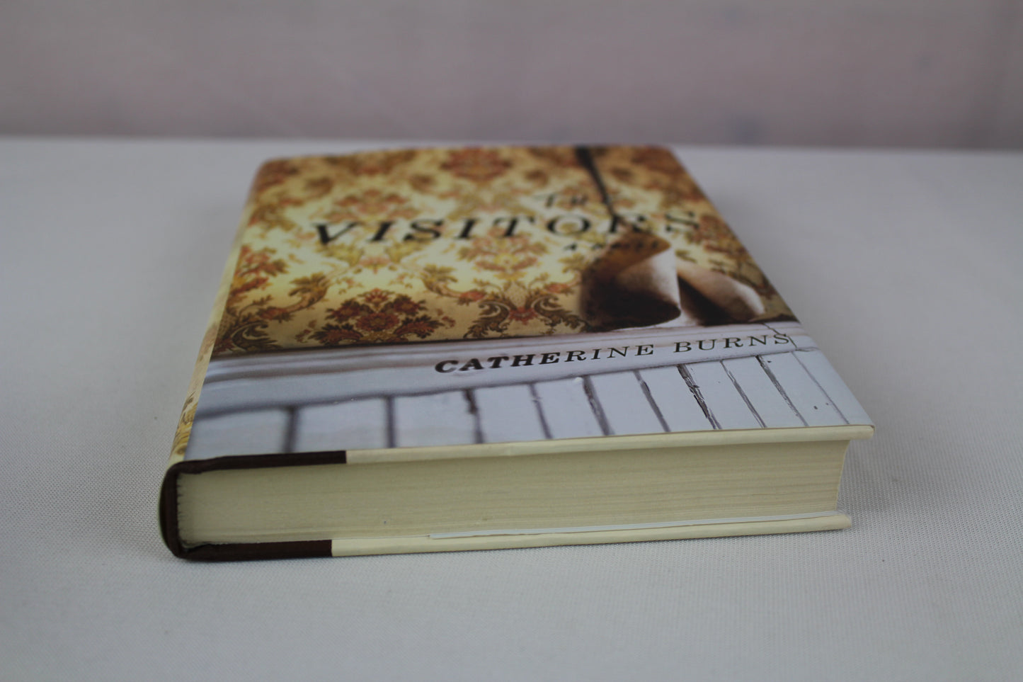 The Visitors by Catherine Burns