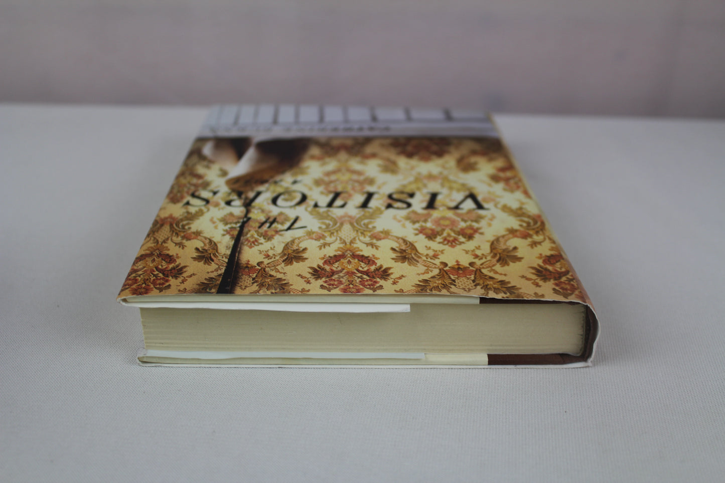 The Visitors by Catherine Burns