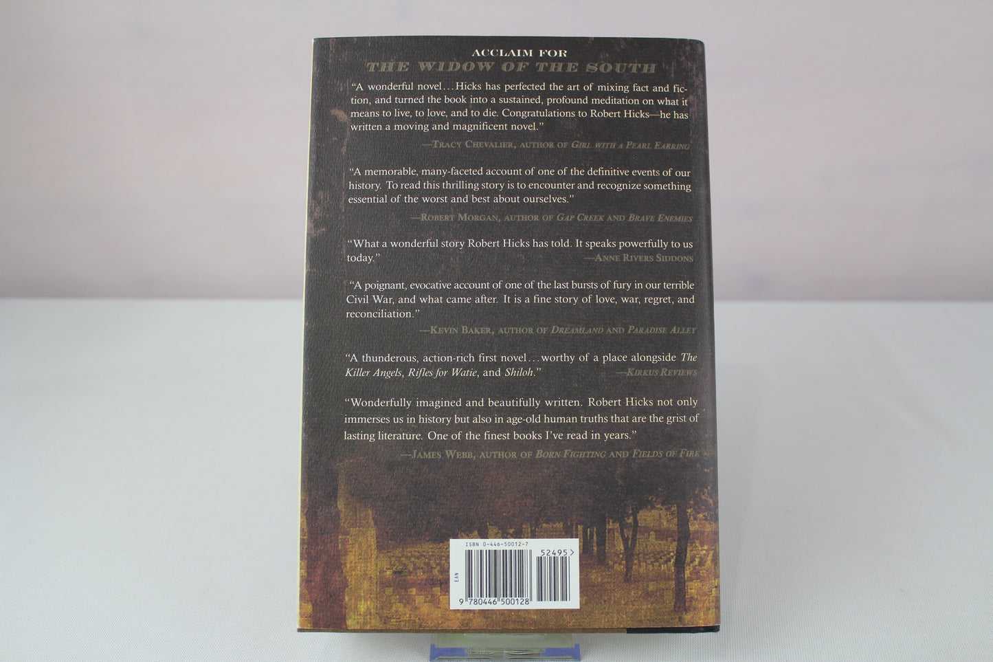 The Widow of the South by Robert Hicks