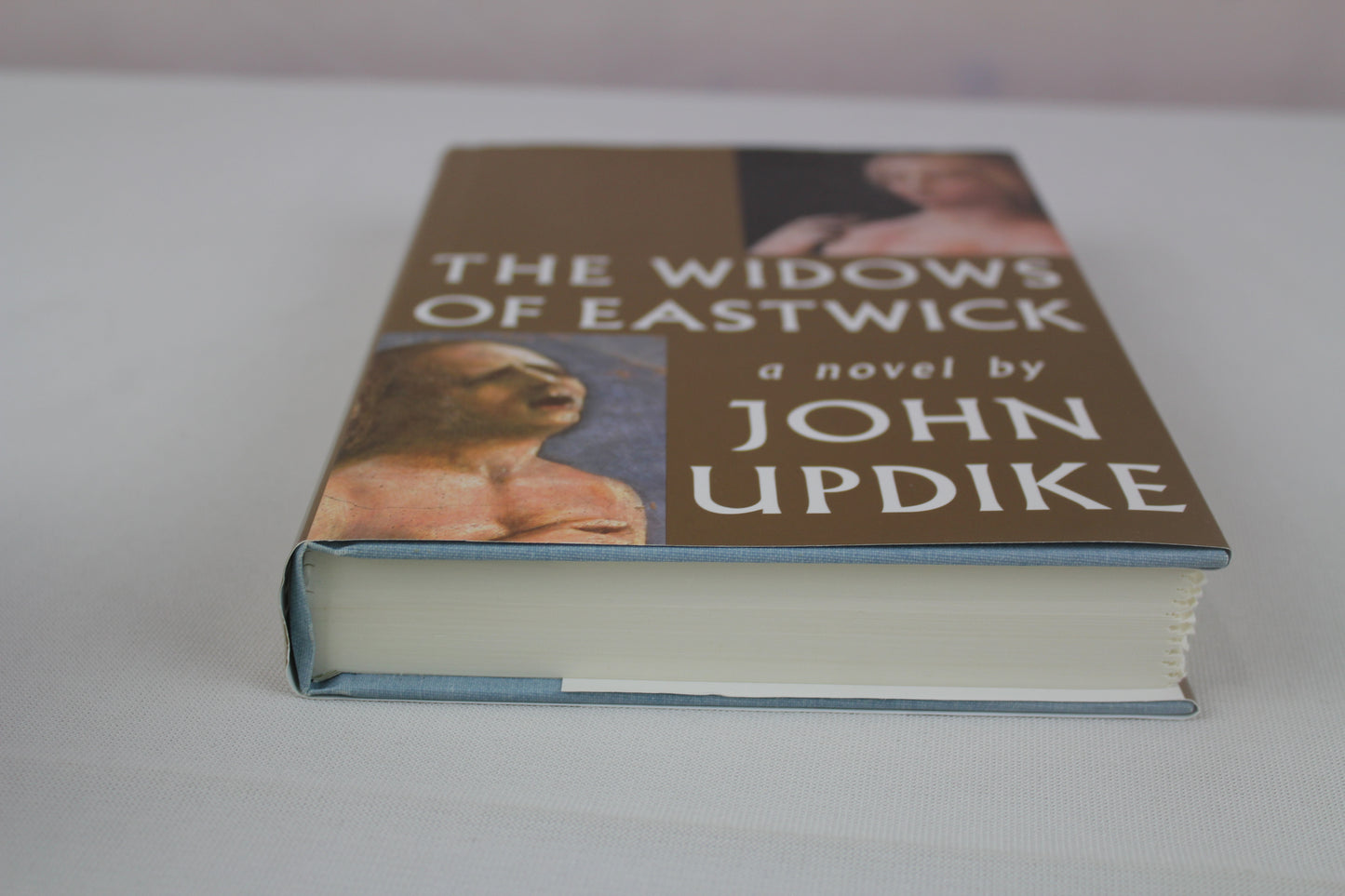 The Widows of Eastwick by John Updike