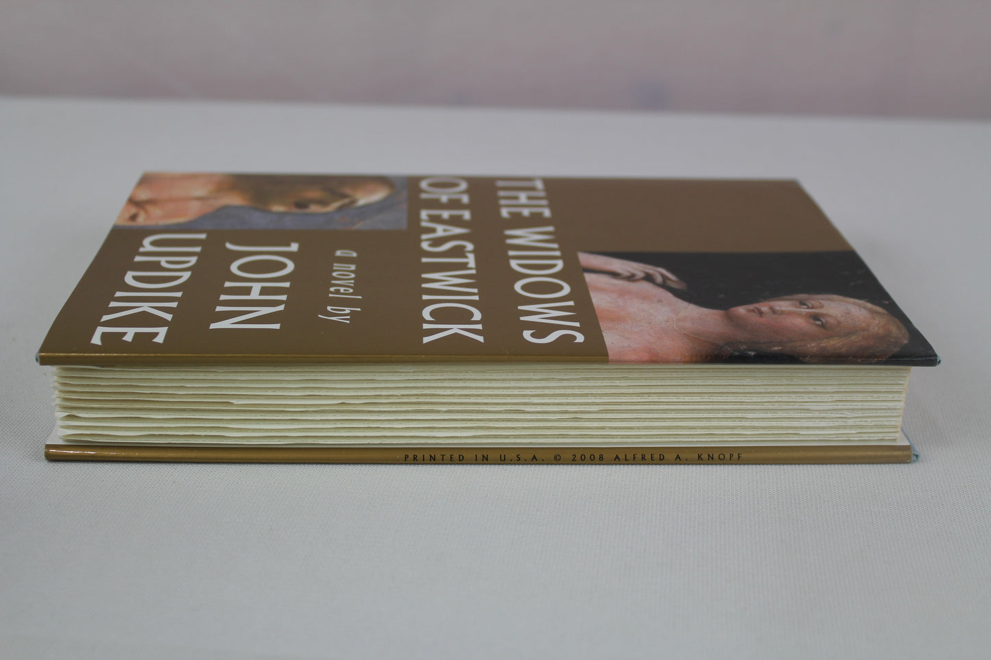 The Widows of Eastwick by John Updike