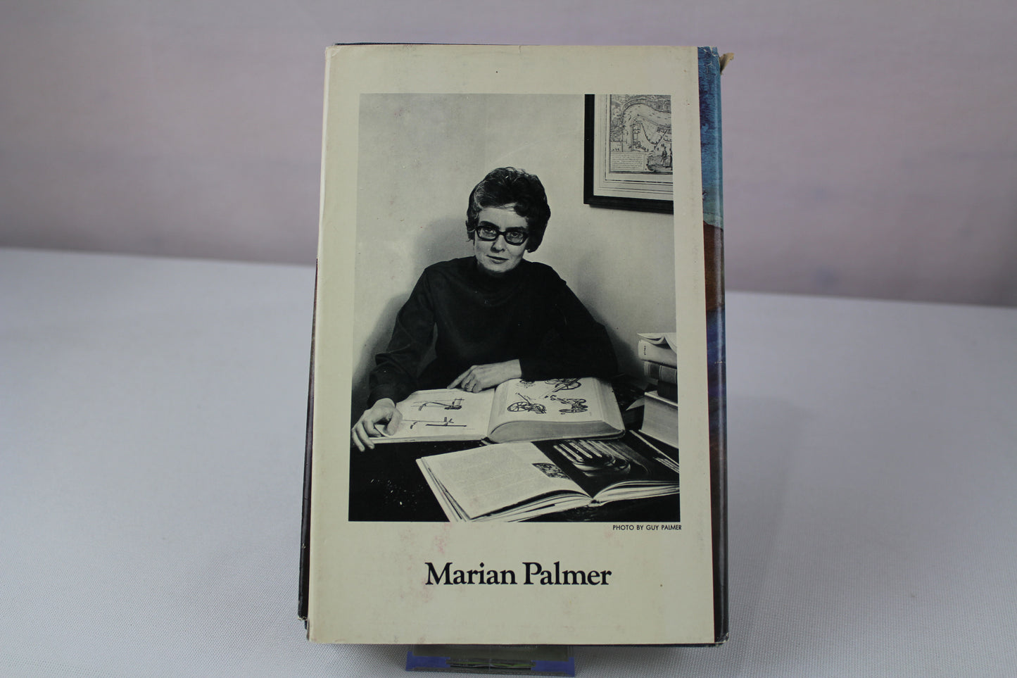 The Wrong Plantagenet by Marian Palmer