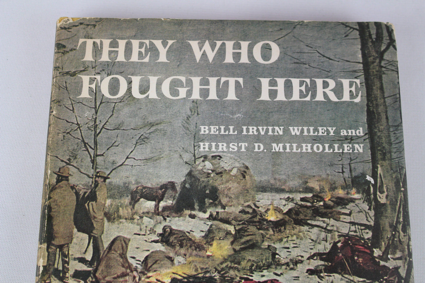 They Who Fought Here by Bell Irvin Wiley