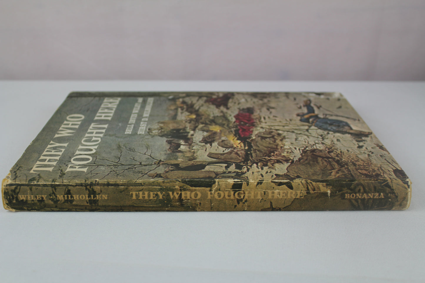 They Who Fought Here by Bell Irvin Wiley