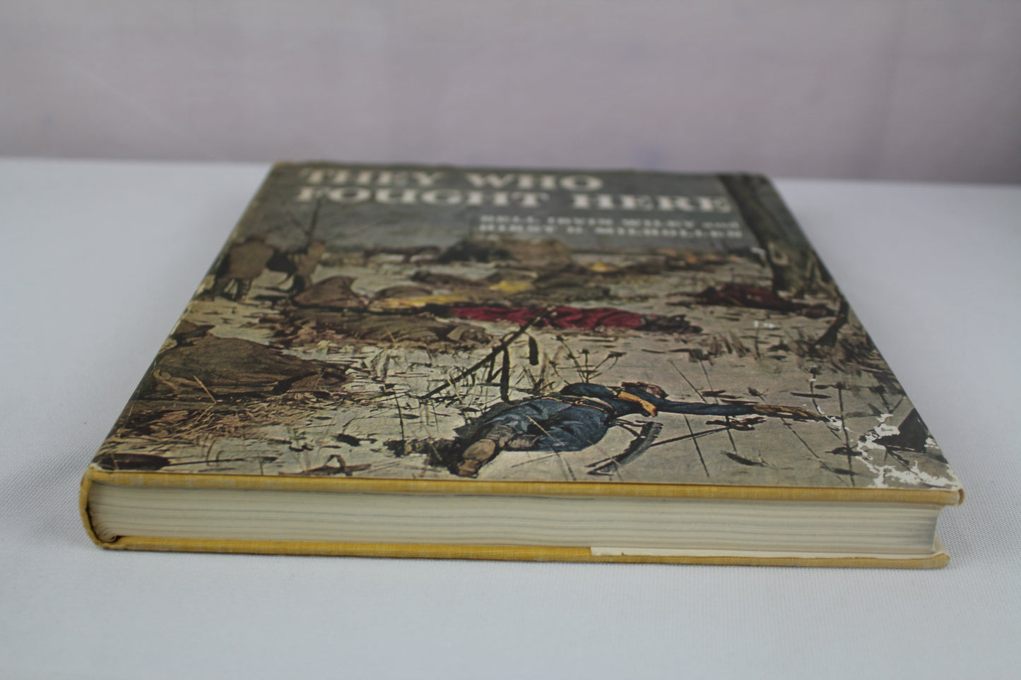 They Who Fought Here by Bell Irvin Wiley