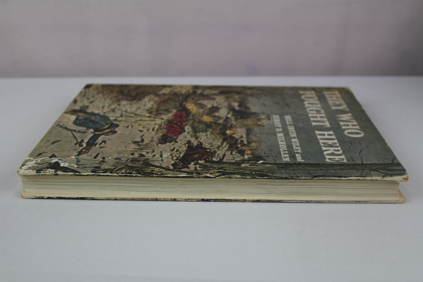 They Who Fought Here by Bell Irvin Wiley