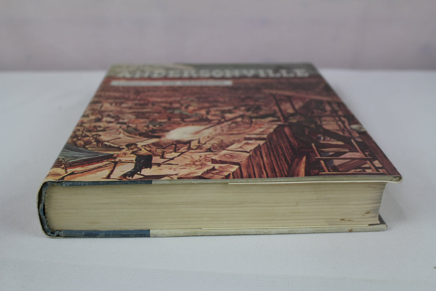 This Was Andersonville by John McElroy, Roy Meredith