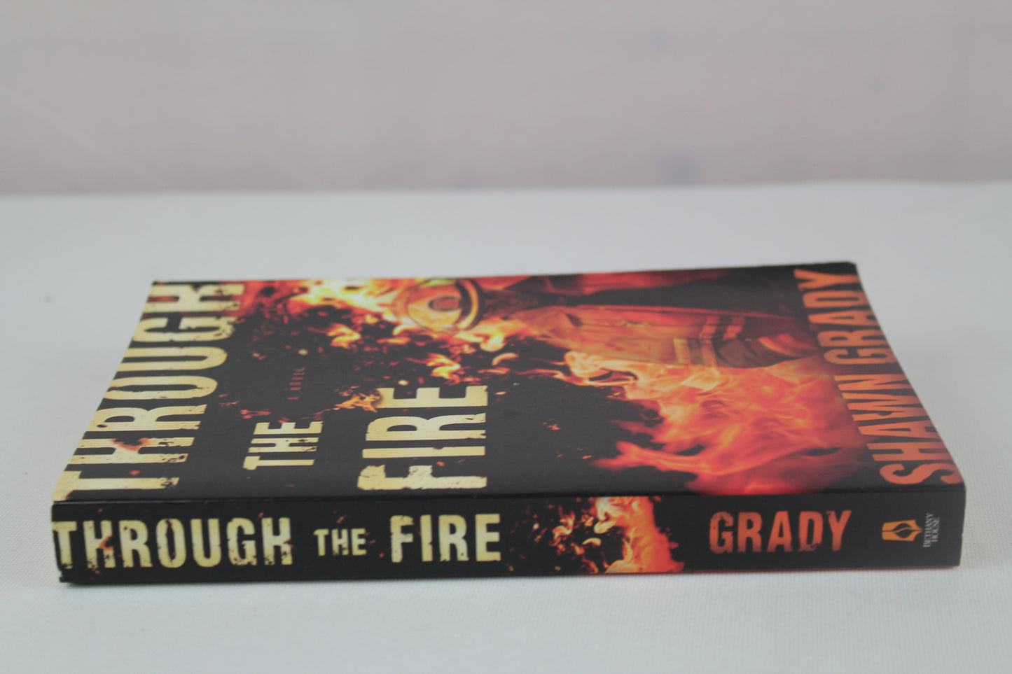 Through the Fire by Shawn Grady