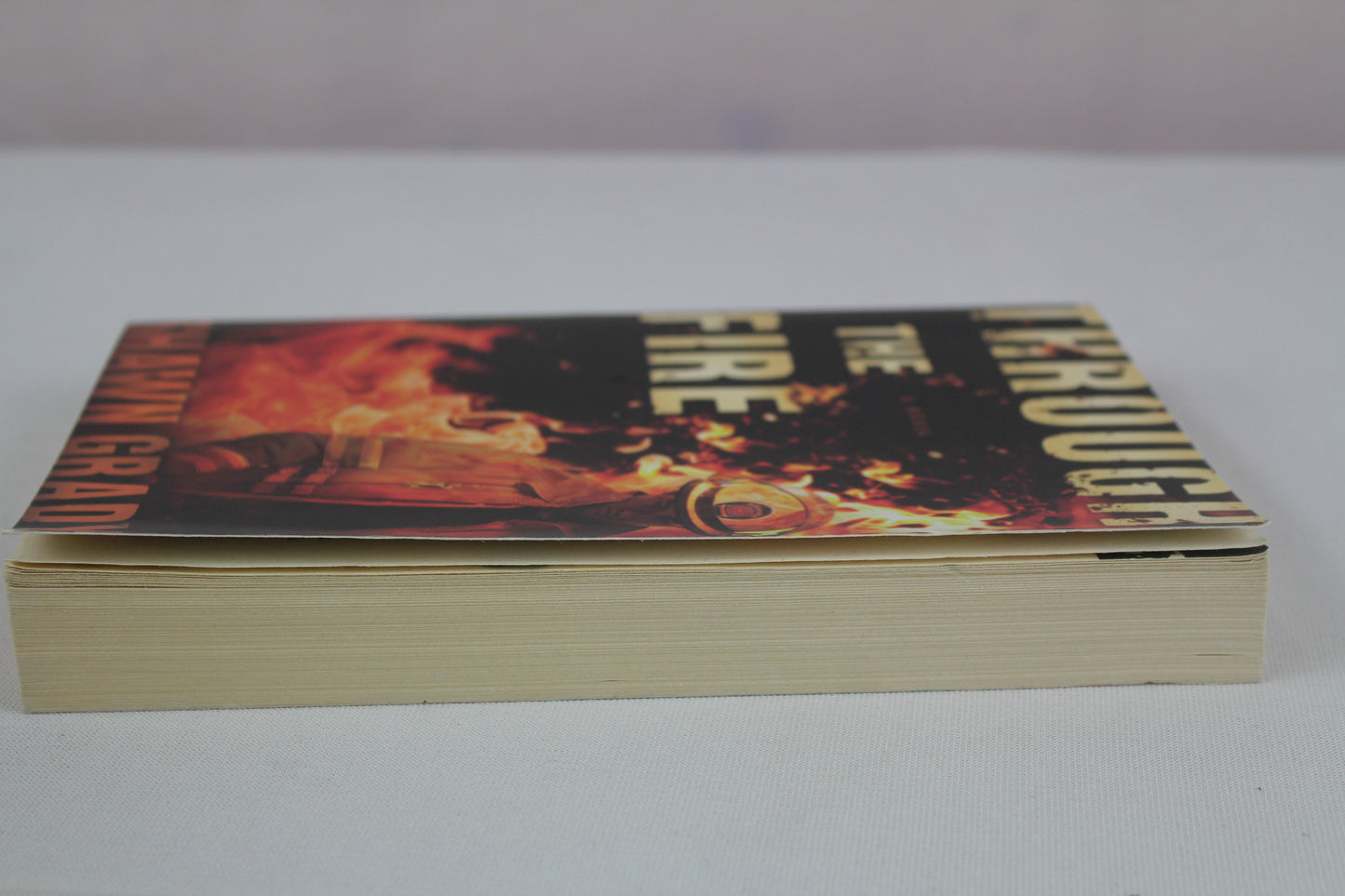 Through the Fire by Shawn Grady