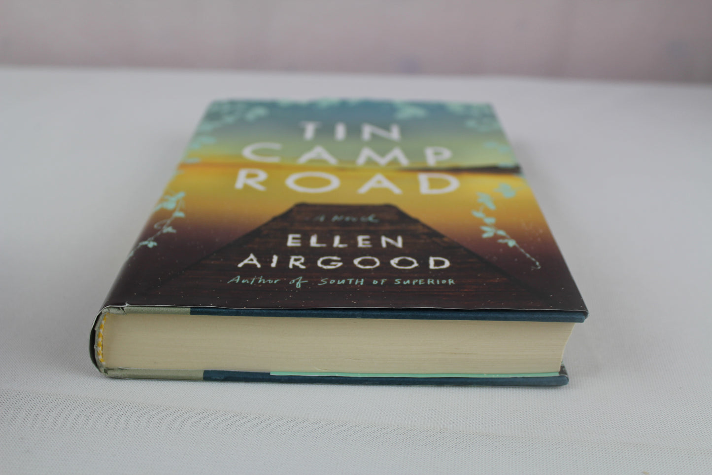 Tin Camp Road: A Novel by Ellen Airgood