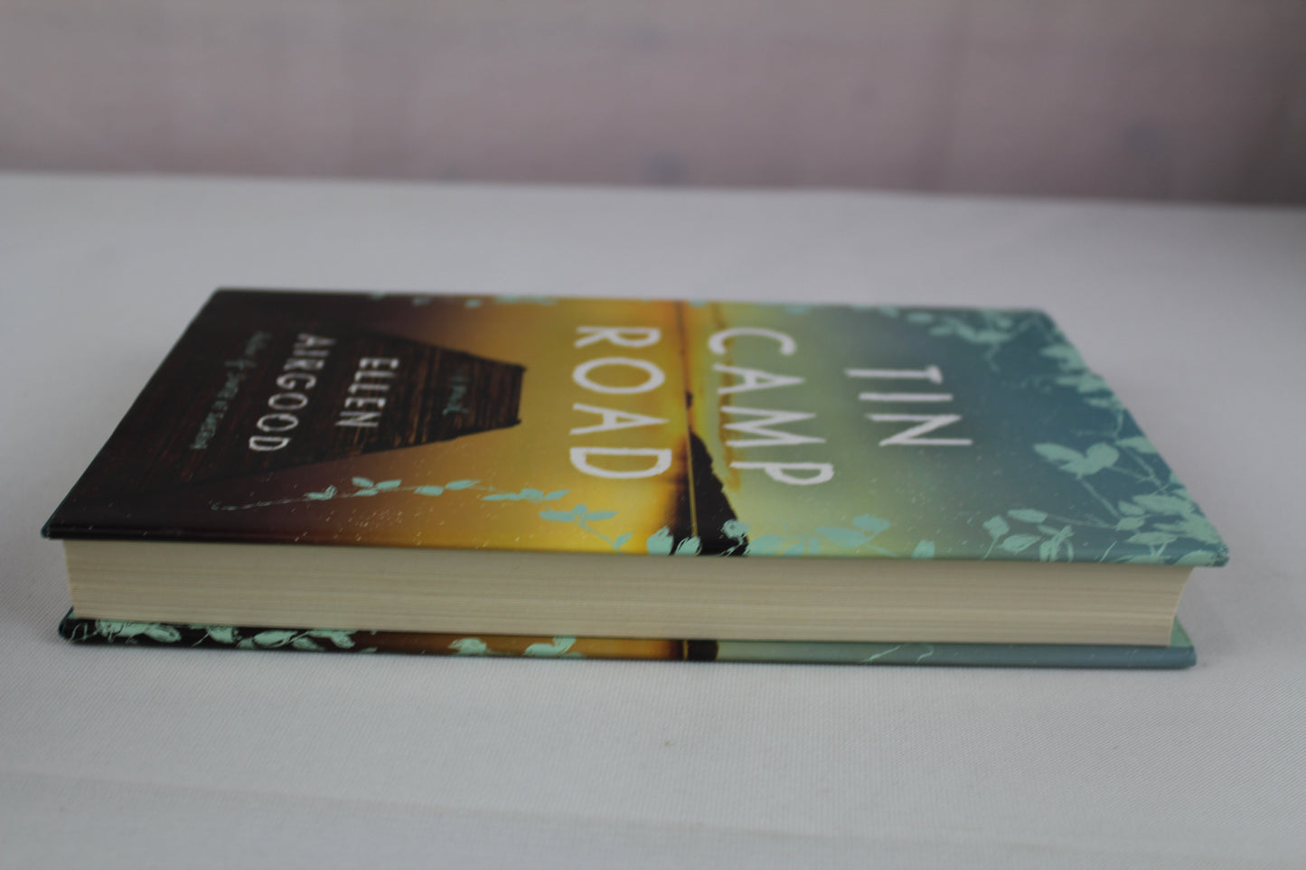 Tin Camp Road: A Novel by Ellen Airgood