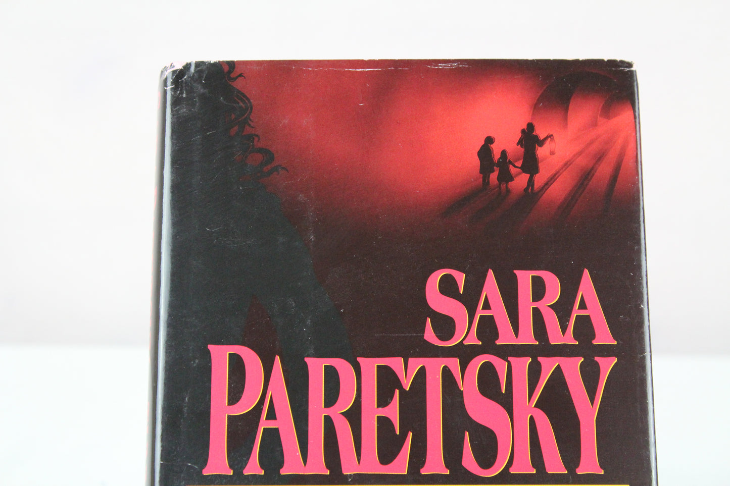 Tunnel Vision (V.I. Warshawski Novels)