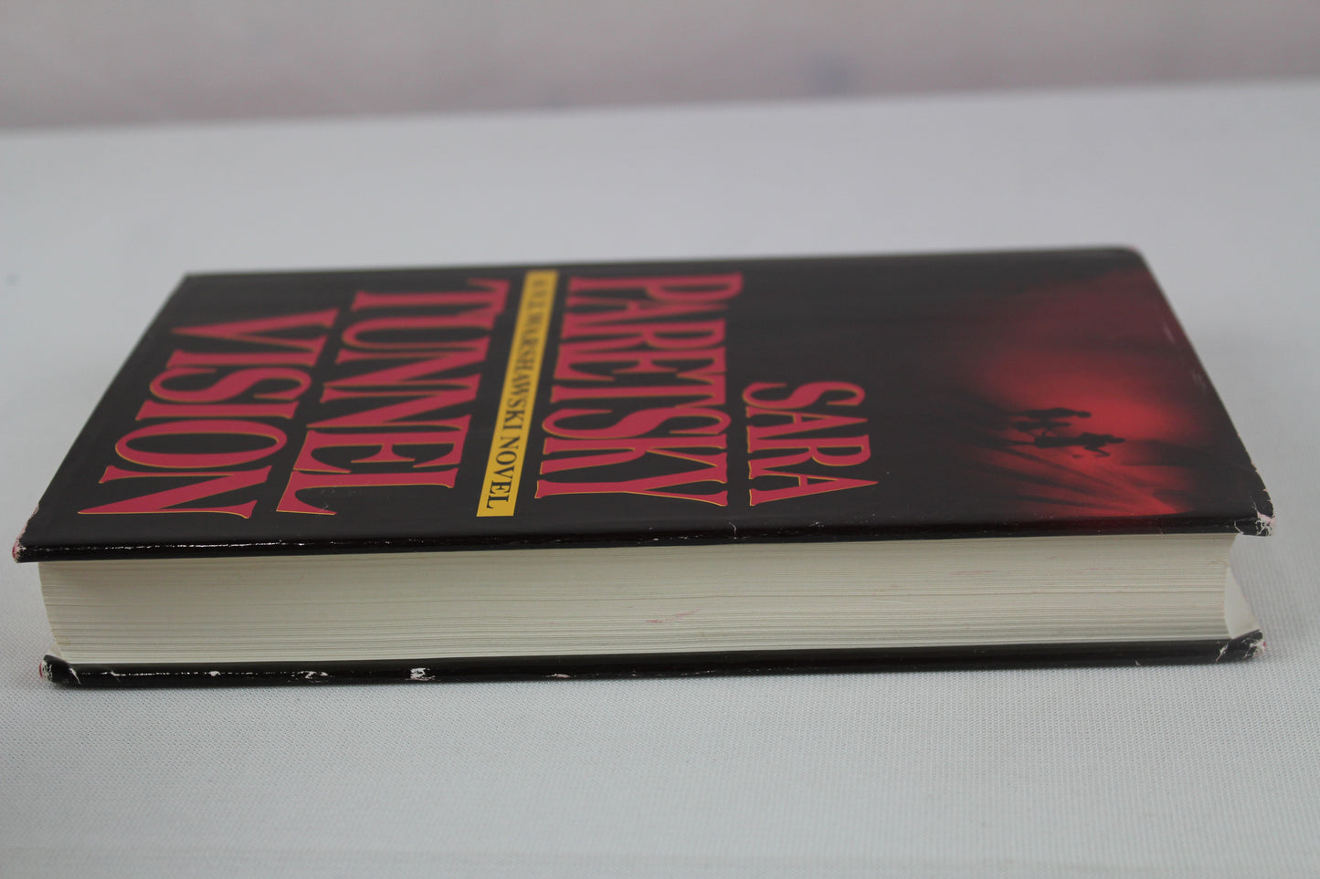 Tunnel Vision (V.I. Warshawski Novels)