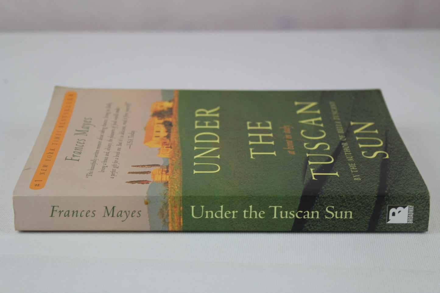Under the Tuscan Sun: At Home in Italy by Frances Mayes