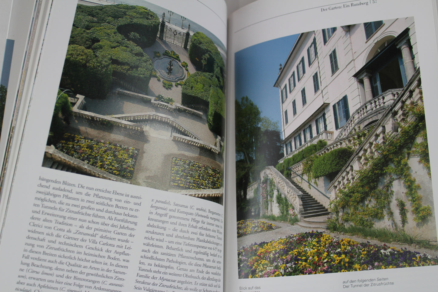villa carlotta le jardin et le musée ; guide d'histoire et d'art by Paolo Cottini; Paola Zatti