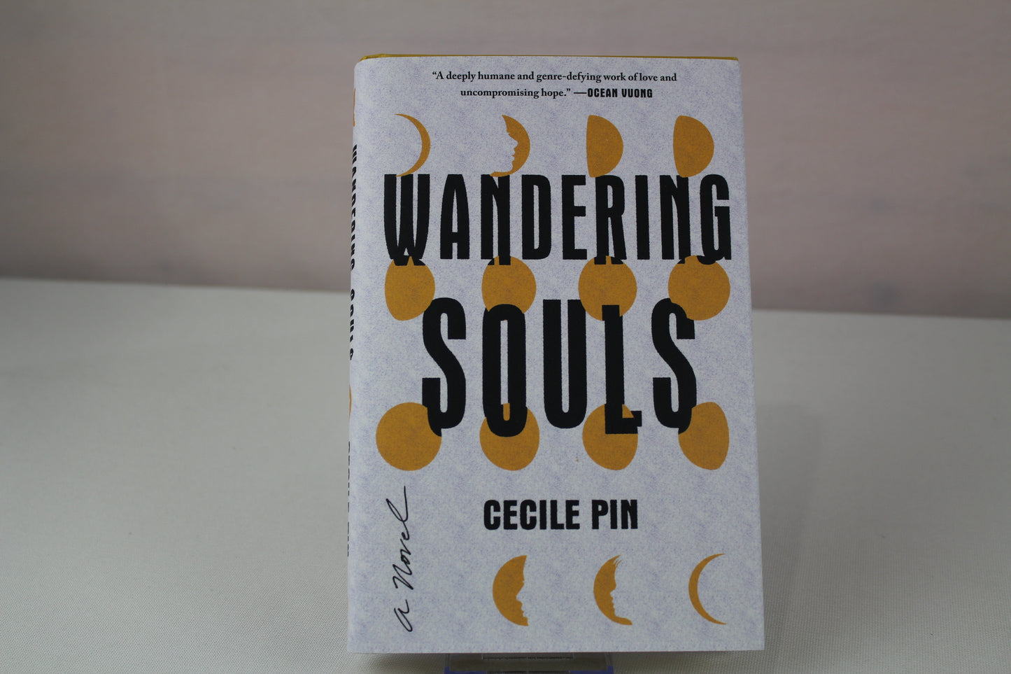 Wandering Souls: A Novel by Cecile Pin