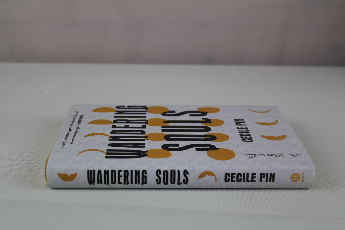 Wandering Souls: A Novel by Cecile Pin