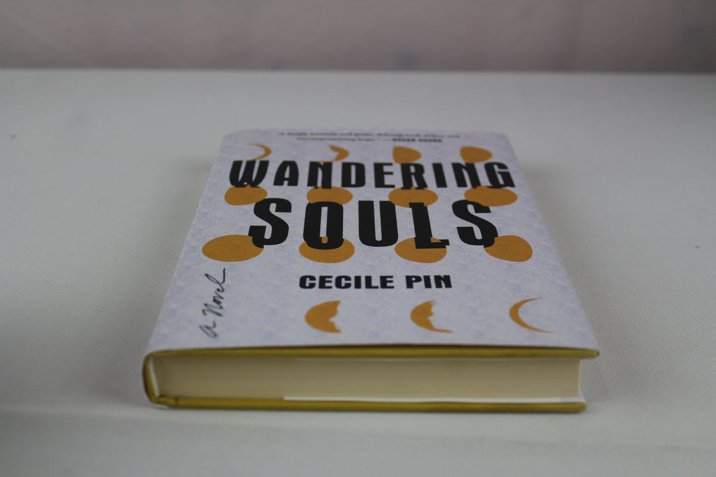 Wandering Souls: A Novel by Cecile Pin