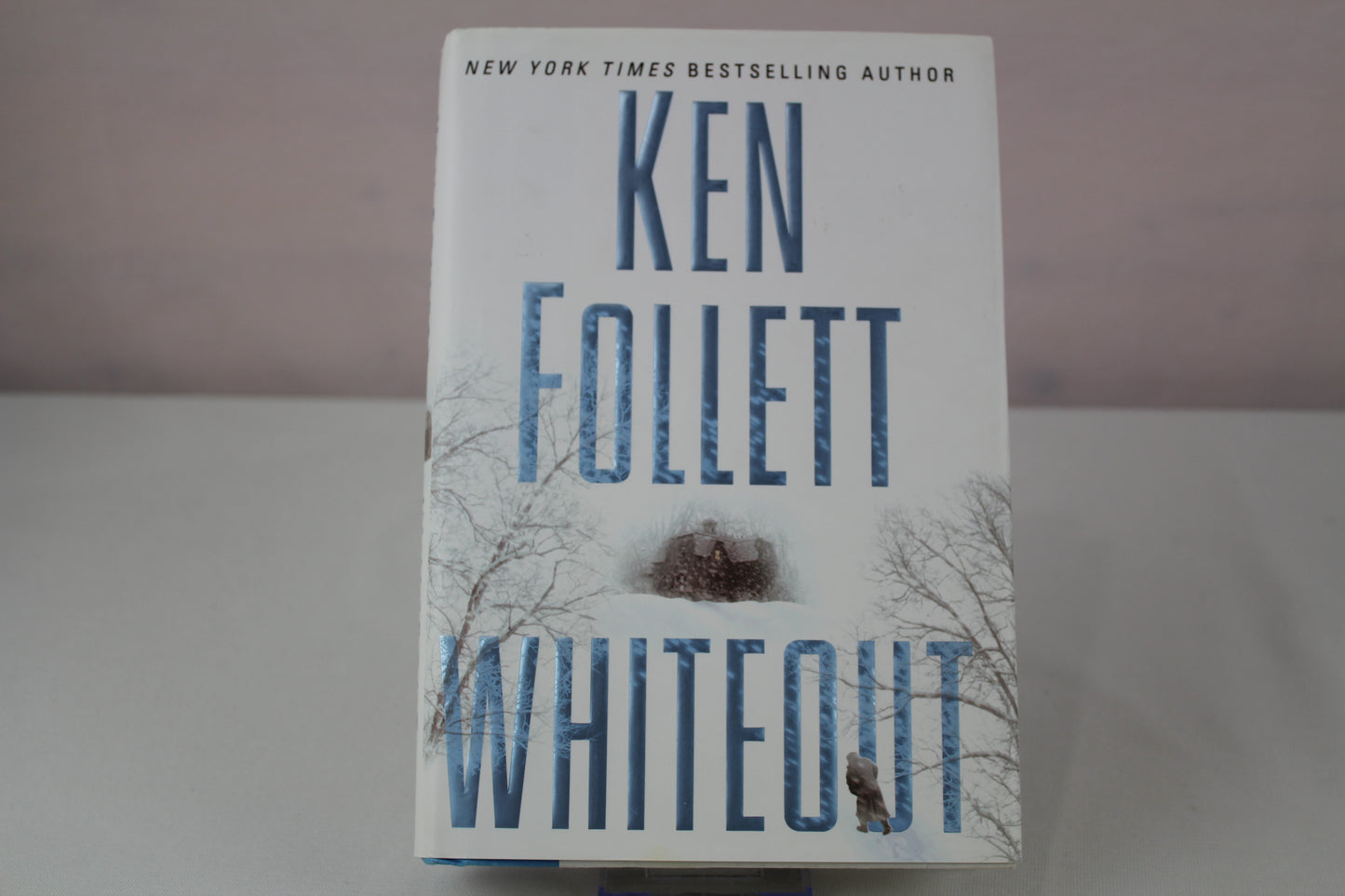 Whiteout by Ken Follett
