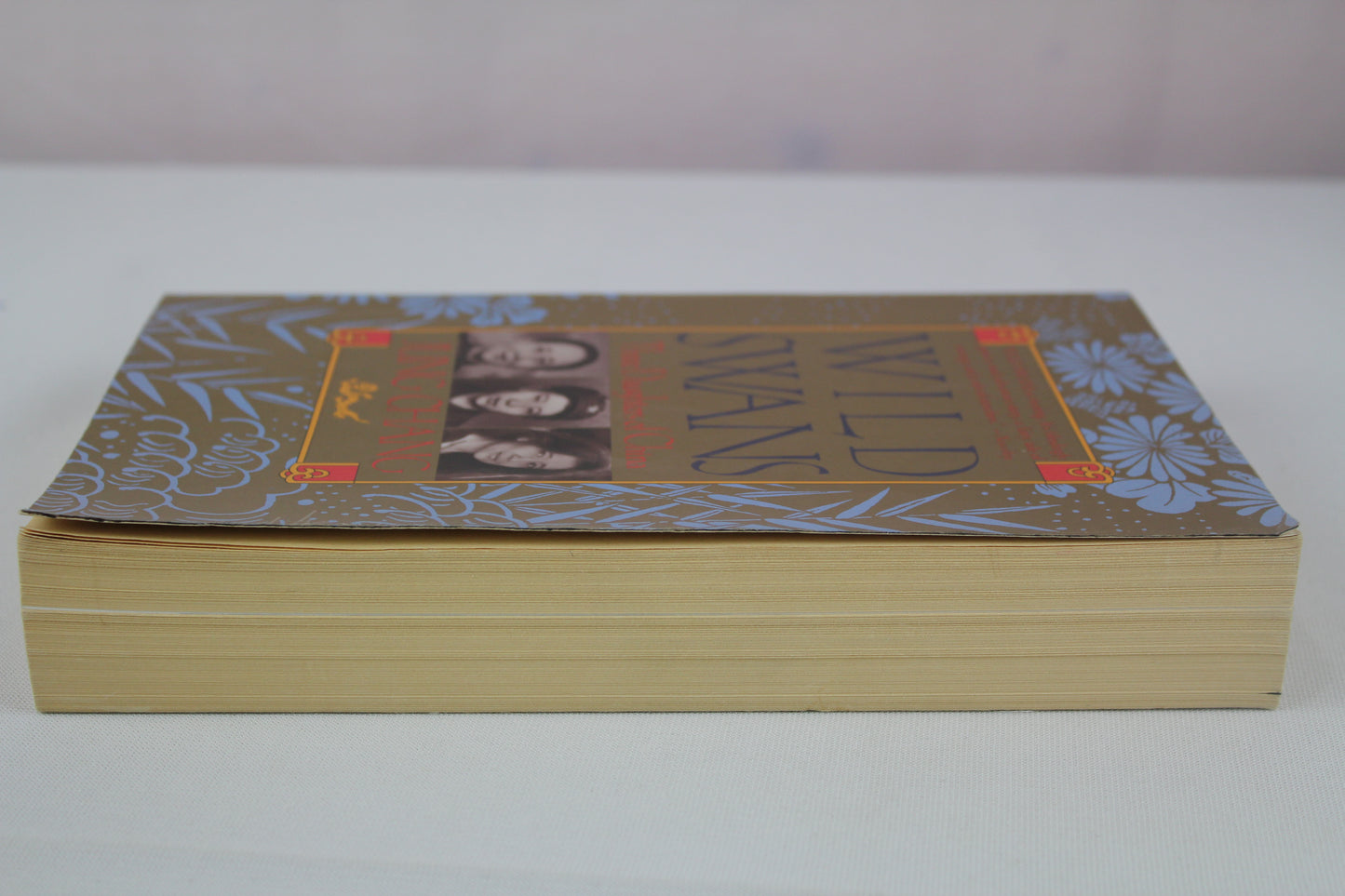 Wild Swans: Three Daughters of China by Jung Chang