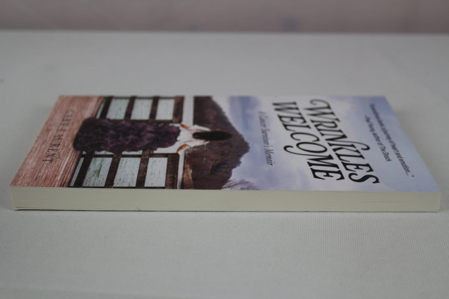 Wrinkles Welcome: A Cancer Survivor's Memoir by Gaby Laurent