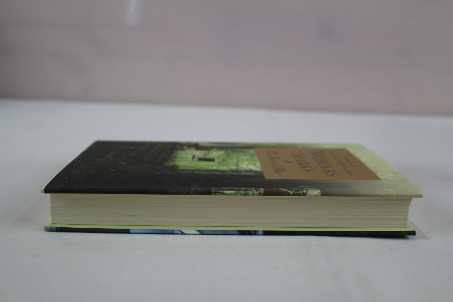 The Best of Me by Nicholas Sparks