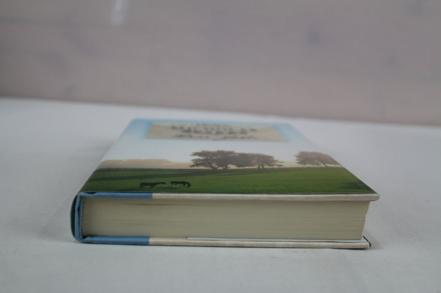 Dear John by Nicholas Sparks