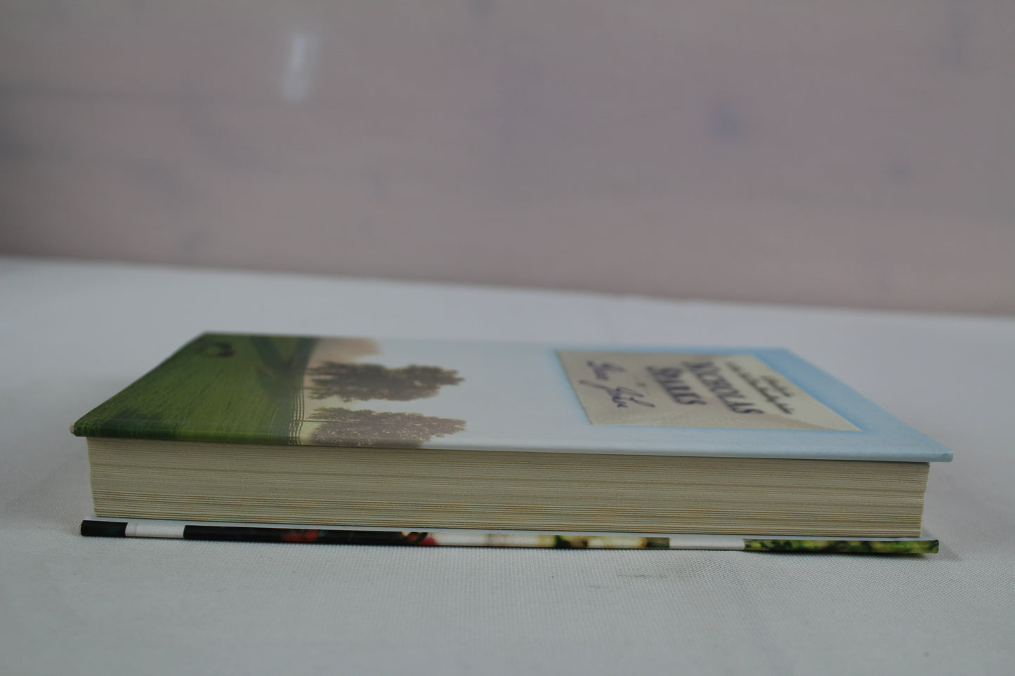 Dear John by Nicholas Sparks