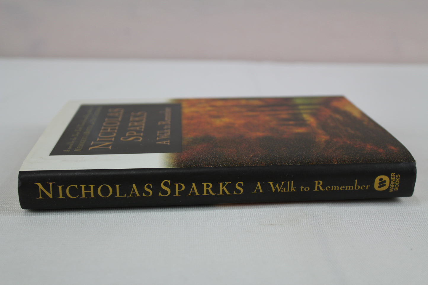 A Walk to Remember by Nicholas Sparks