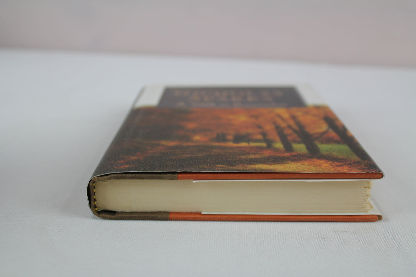 A Walk to Remember by Nicholas Sparks