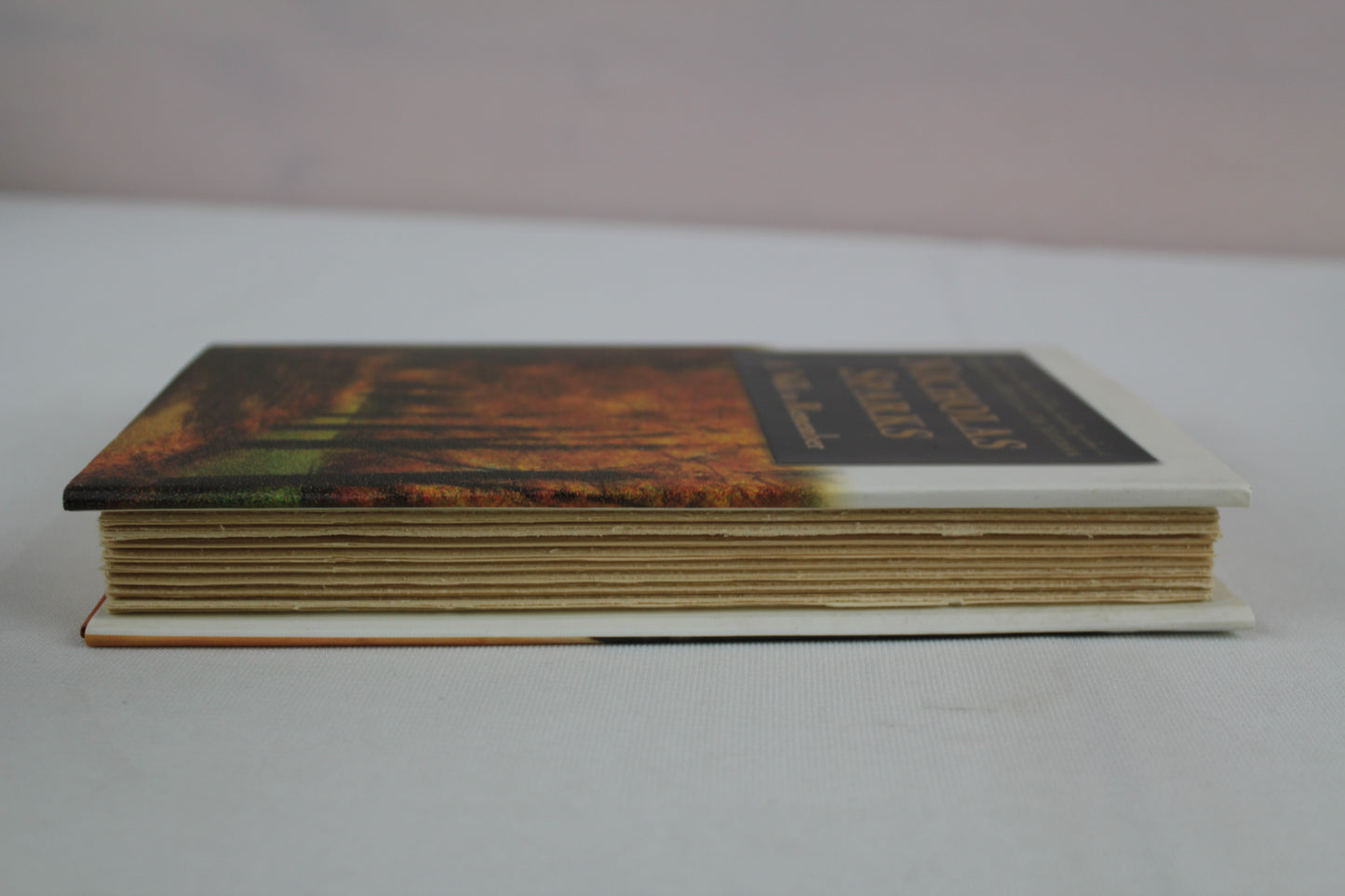 A Walk to Remember by Nicholas Sparks