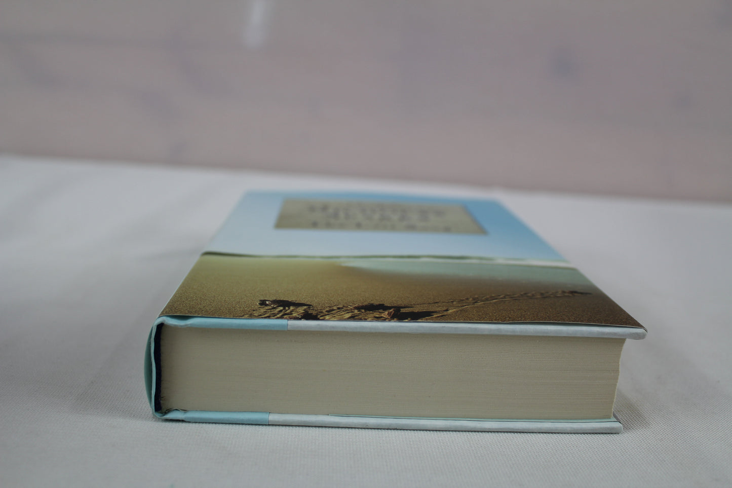 The Last Song by Nicholas Sparks