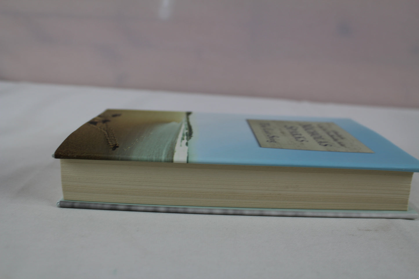 The Last Song by Nicholas Sparks