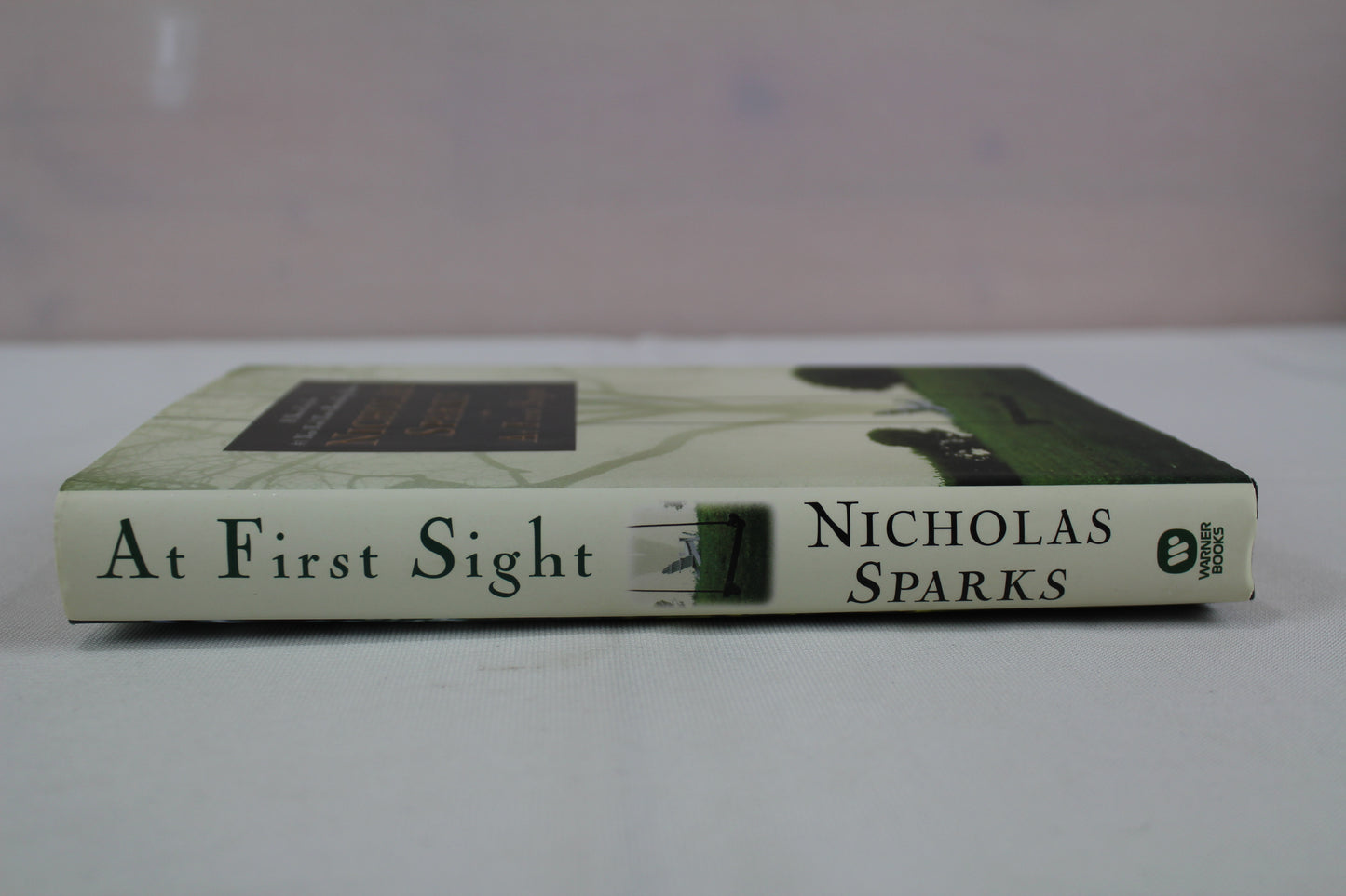 At First Sight by Nicholas Sparks