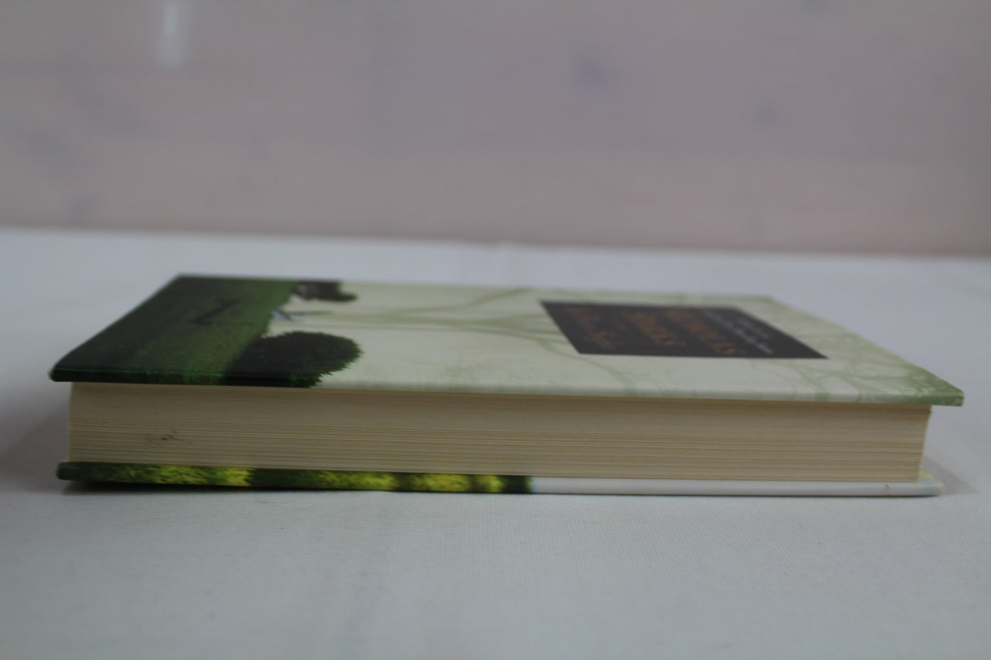 At First Sight by Nicholas Sparks
