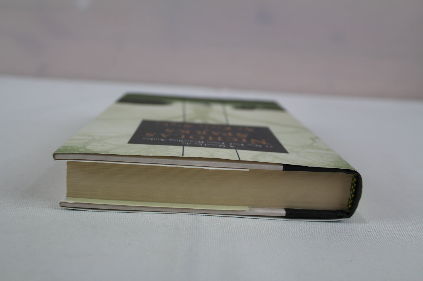 At First Sight by Nicholas Sparks
