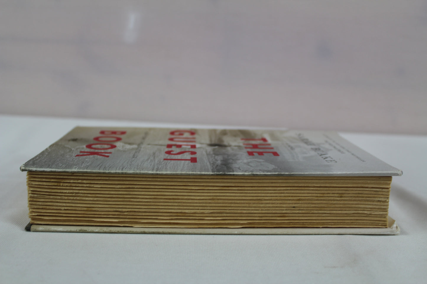 The Guest Book: A Novel by Sarah Blake