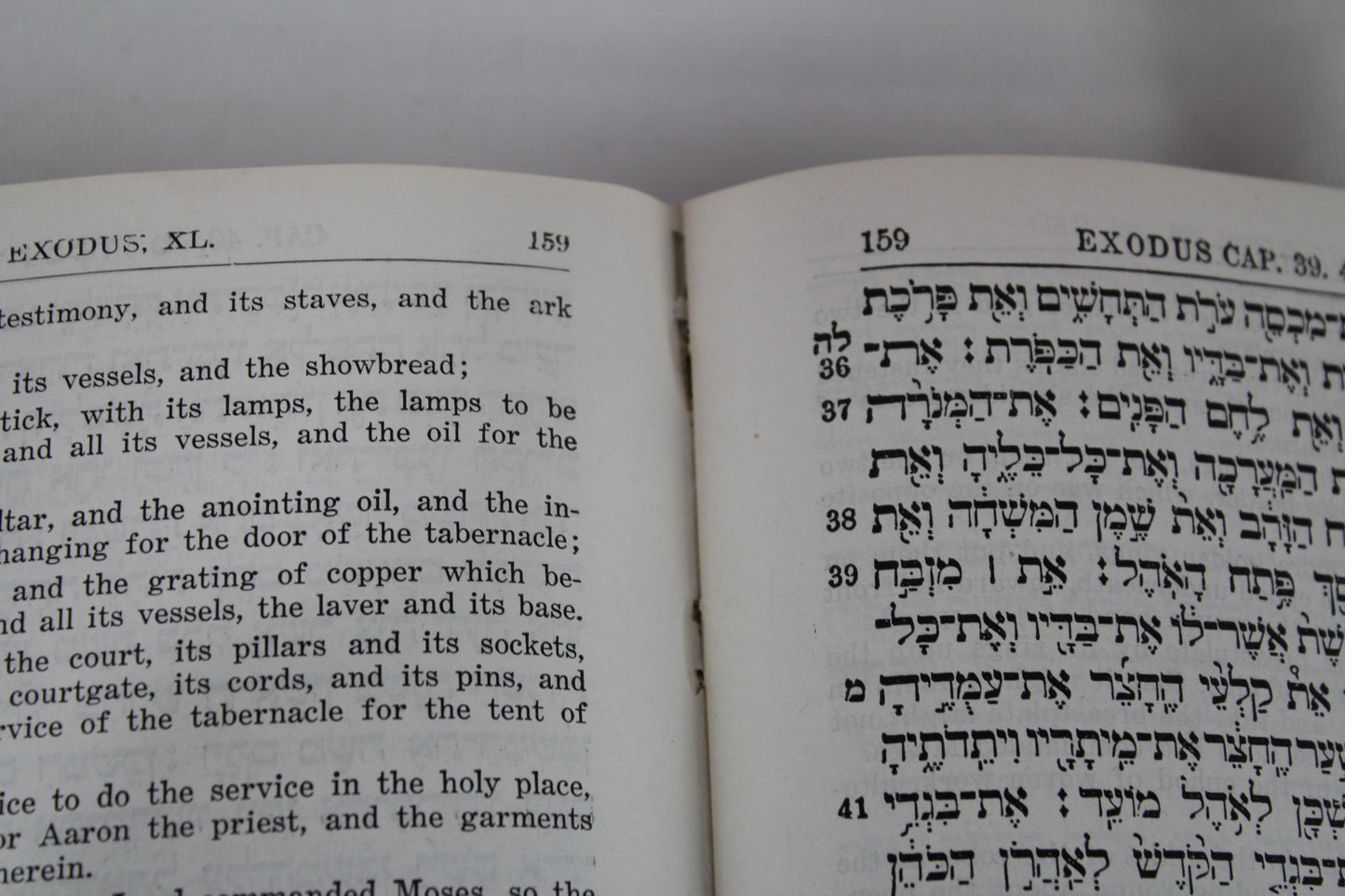 The Five Books of Moses New Edition Revised by Dr M. Stern