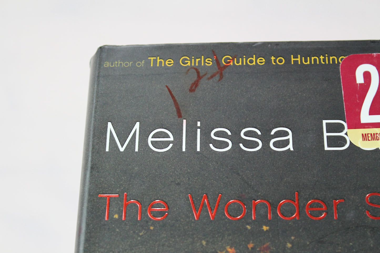 The Wonder Spot by Melissa Bank