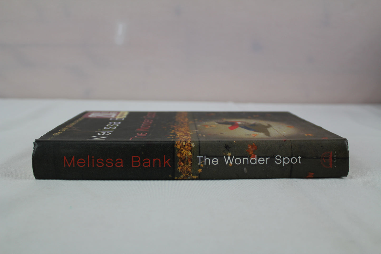 The Wonder Spot by Melissa Bank