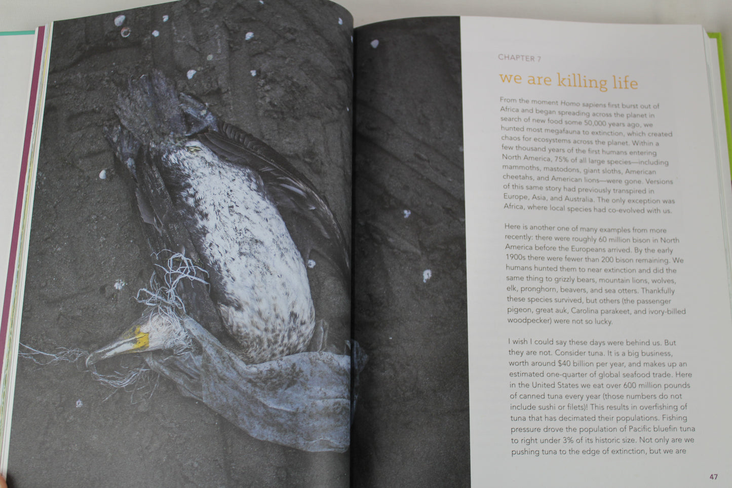 From Wasteland to Wonder: Easy Ways We Can Help Heal Earth in the Sub/Urban Landscape by Basil Camu