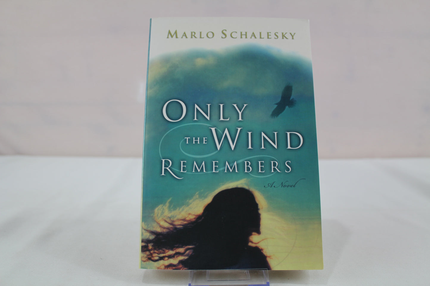 Only the Wind Remembers by Marlo Schalesky