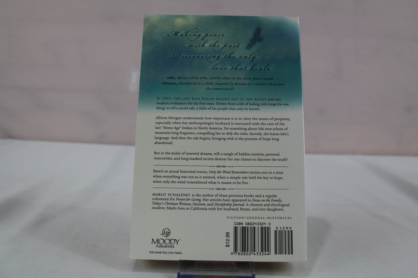 Only the Wind Remembers by Marlo Schalesky
