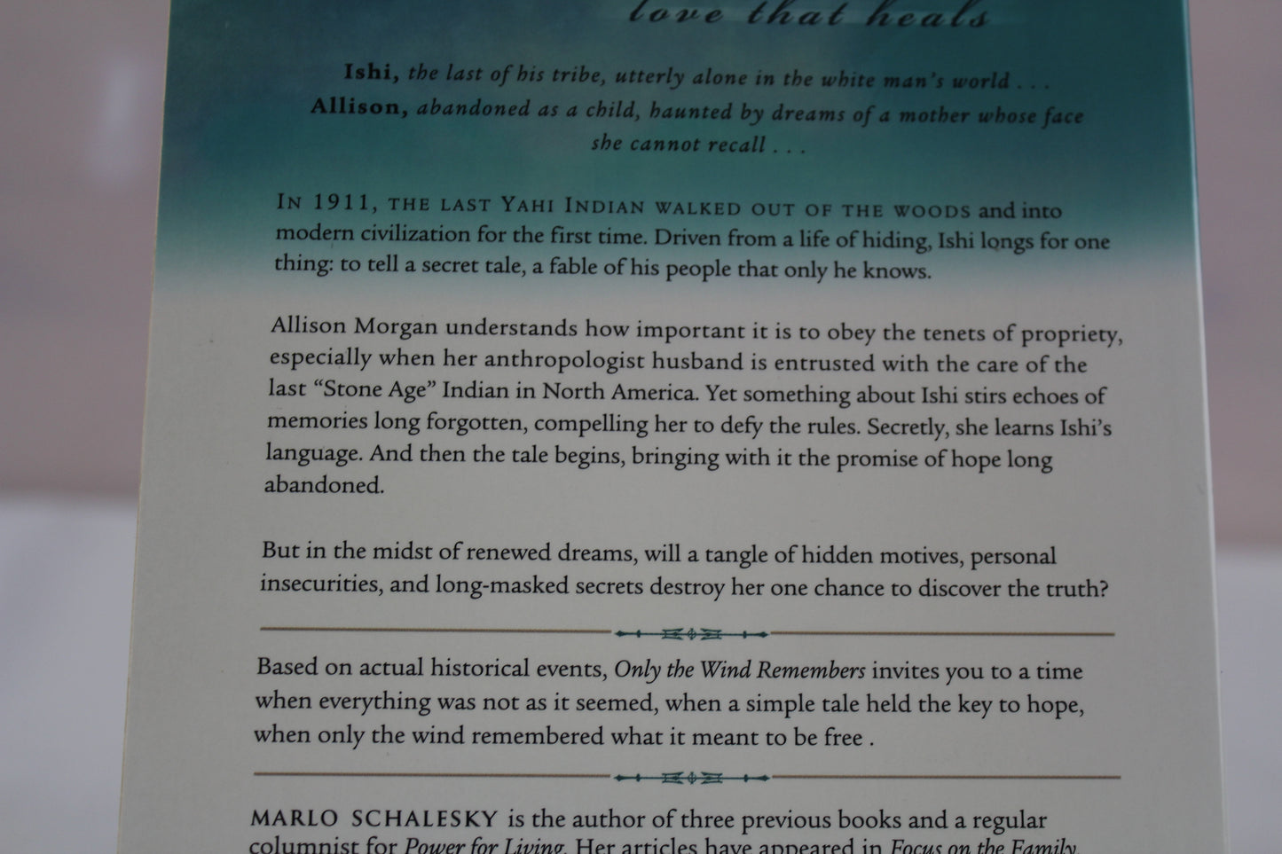 Only the Wind Remembers by Marlo Schalesky