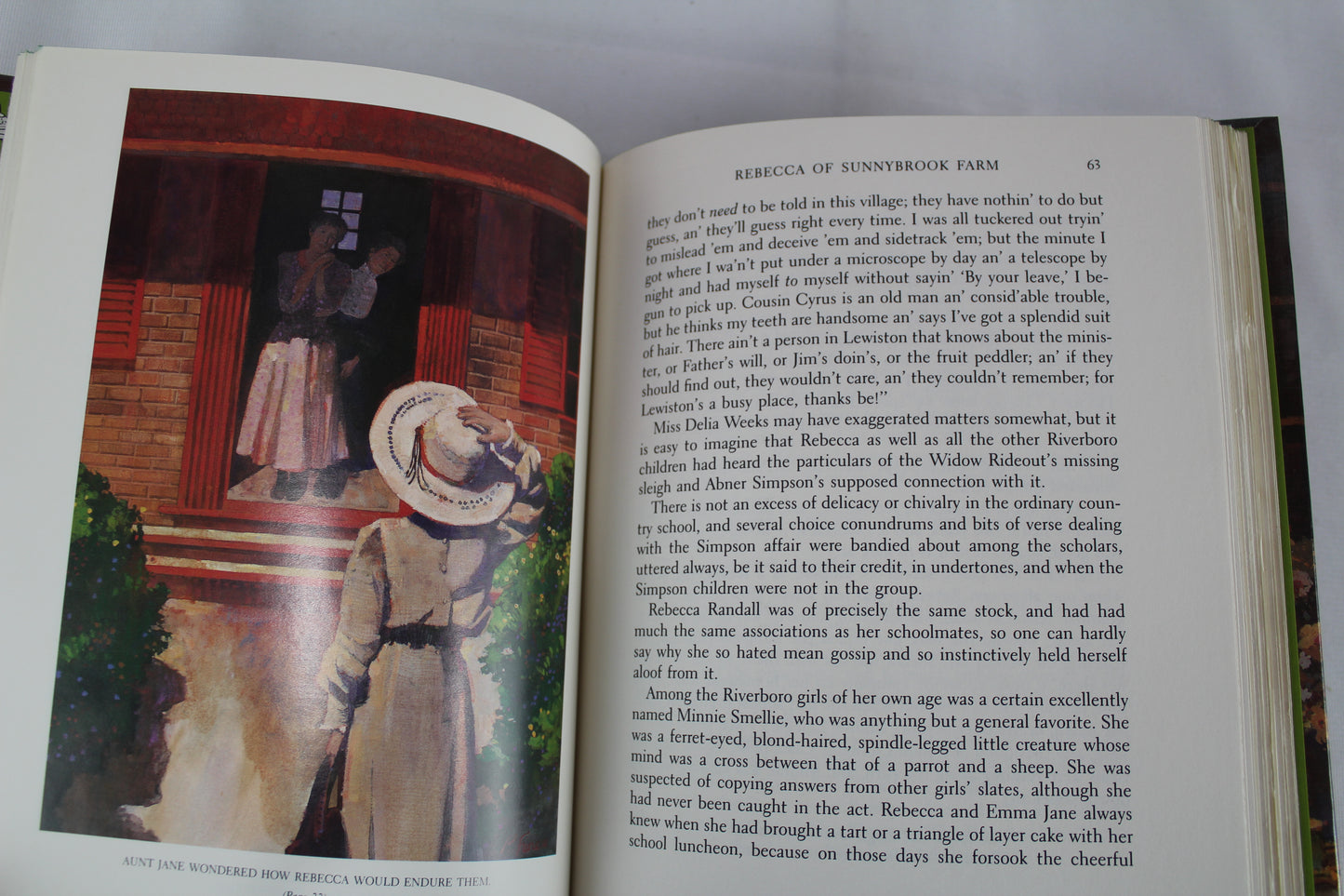 Rebecca of Sunnybrook Farm (Books of Wonder) by Kate Douglas Wiggin, Helen M. Grose, Peter Glassman