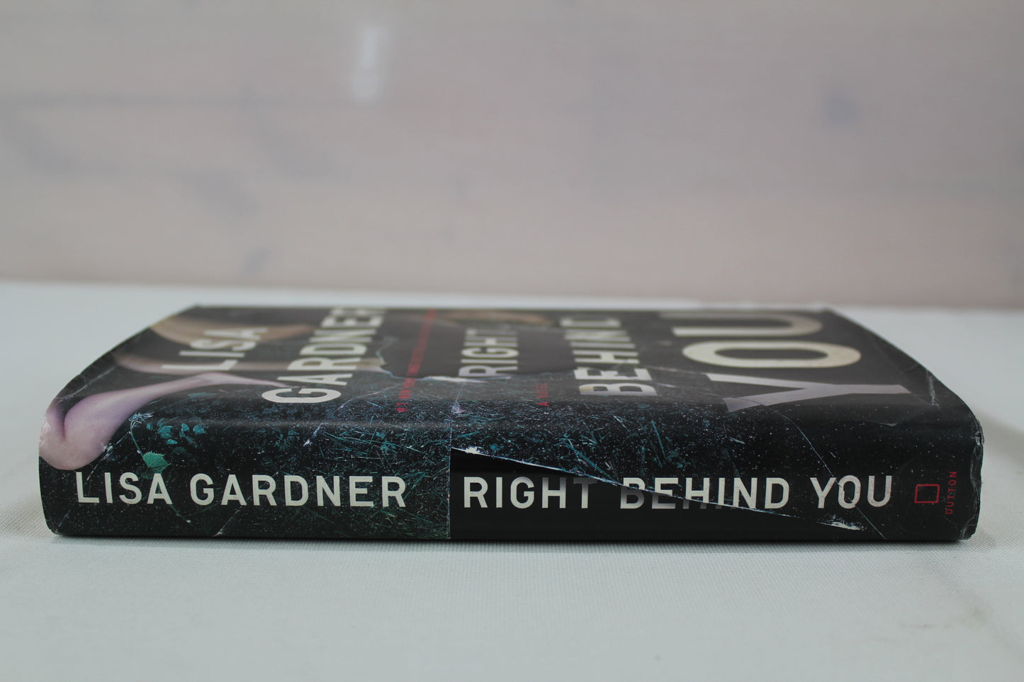 Right Behind You (FBI Profiler) by Lisa Gardner
