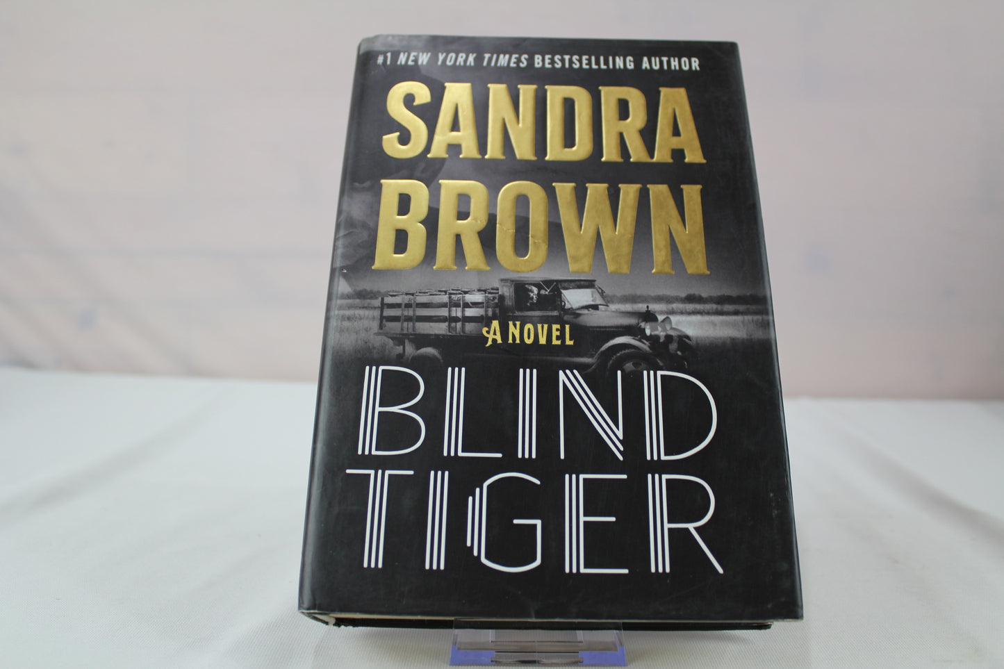 Blind Tiger by Sandra Brown